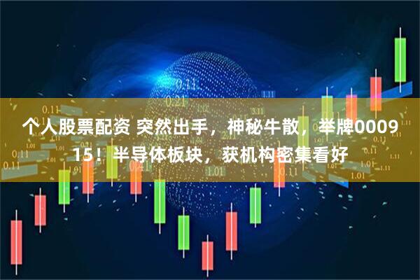 个人股票配资 突然出手，神秘牛散，举牌000915！半导体板块，获机构密集看好